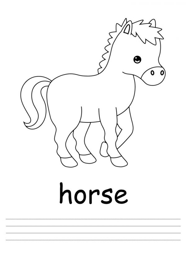 horse page