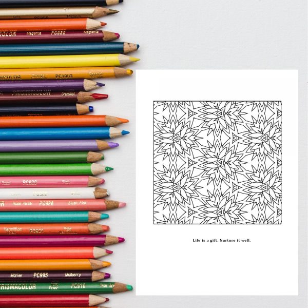 molaict col page 2 crayons mockup